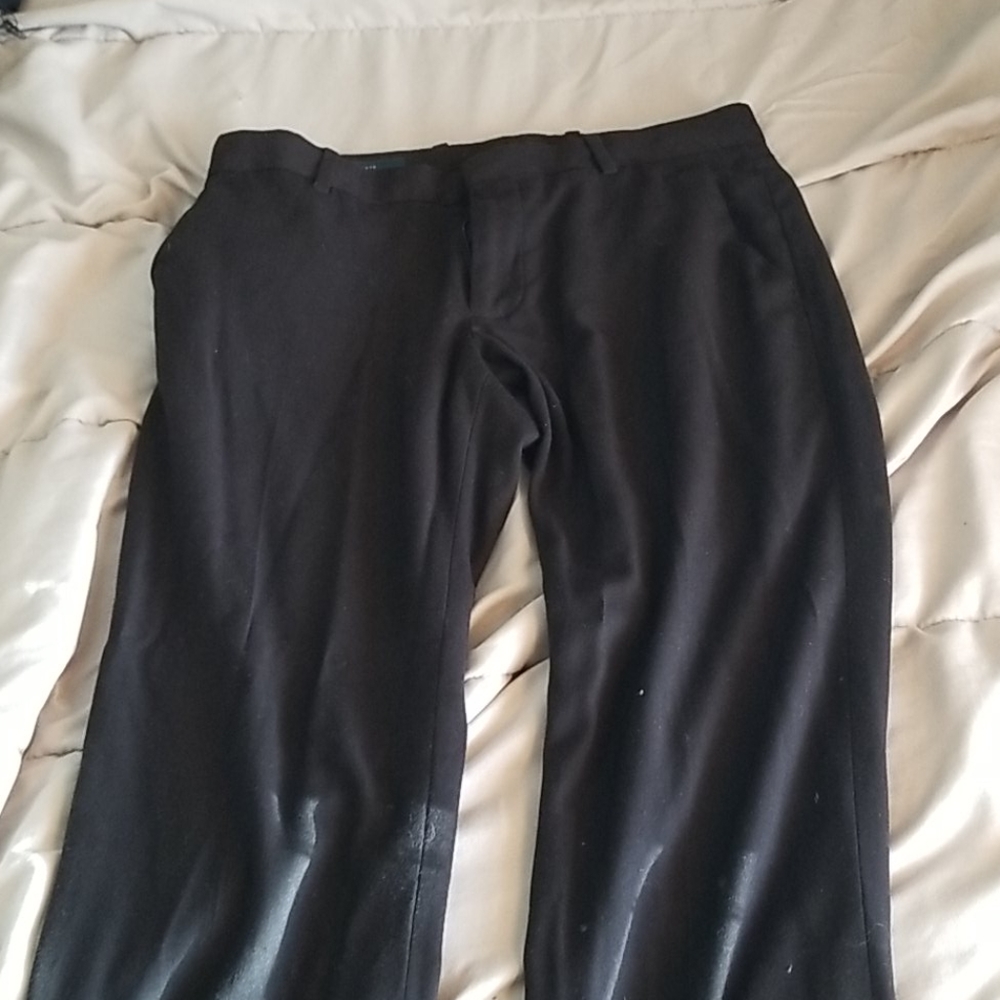 Dress Pants